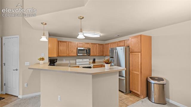 MLS Image for 605  Cougar Bluff  206 ,Colorado Springs, Colorado