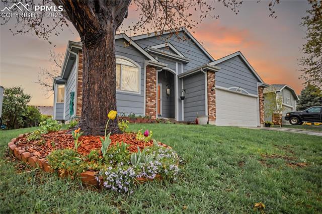 MLS Image for 4861  Desert Varnish  ,Colorado Springs, Colorado