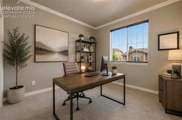 MLS Image for 2479  Pine Valley  ,Colorado Springs, Colorado