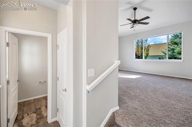 MLS Image for 7697  Steward  ,Colorado Springs, Colorado