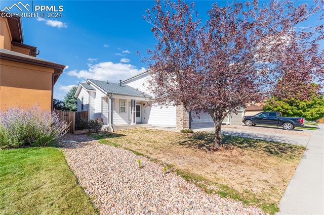 MLS Image for 7697  Steward  ,Colorado Springs, Colorado