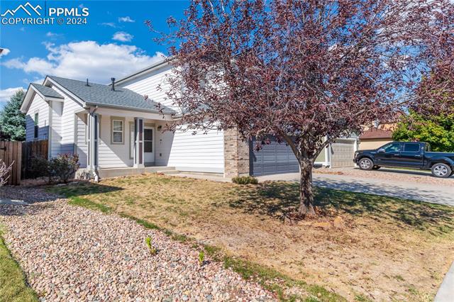 MLS Image for 7697  Steward  ,Colorado Springs, Colorado