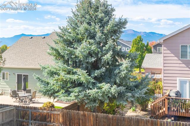 MLS Image for 7697  Steward  ,Colorado Springs, Colorado