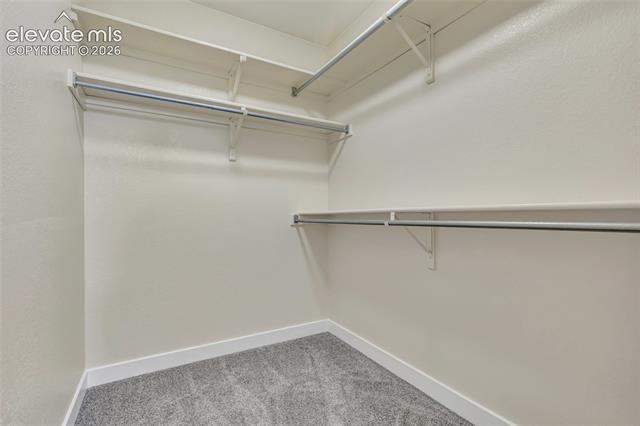 MLS Image for 8030  Tally  ,Colorado Springs, Colorado