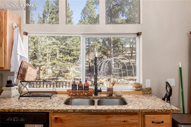 MLS Image for 44  Anderson  ,Florissant, Colorado