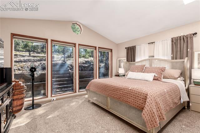 MLS Image for 44  Anderson  ,Florissant, Colorado