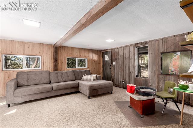 MLS Image for 44  Anderson  ,Florissant, Colorado