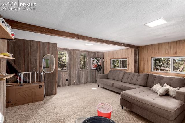 MLS Image for 44  Anderson  ,Florissant, Colorado