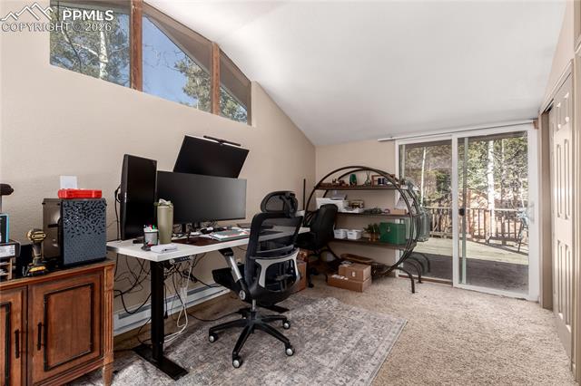 MLS Image for 44  Anderson  ,Florissant, Colorado