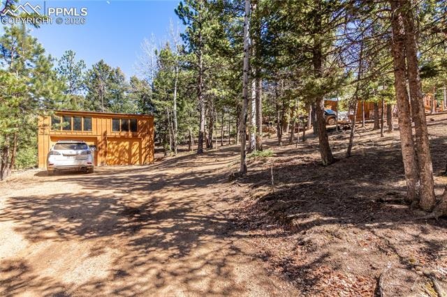 MLS Image for 44  Anderson  ,Florissant, Colorado
