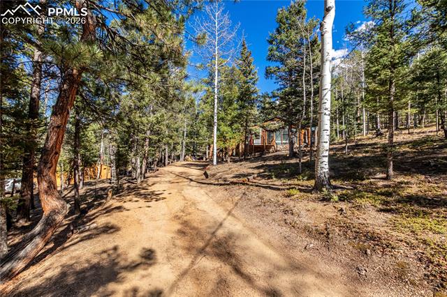 MLS Image for 44  Anderson  ,Florissant, Colorado