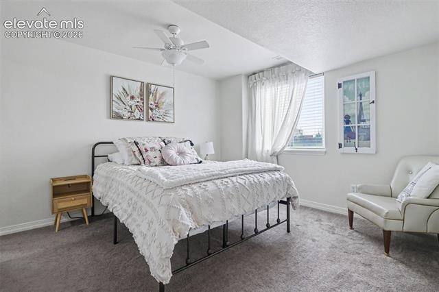 MLS Image for 12119  Kaufman  ,Peyton, Colorado