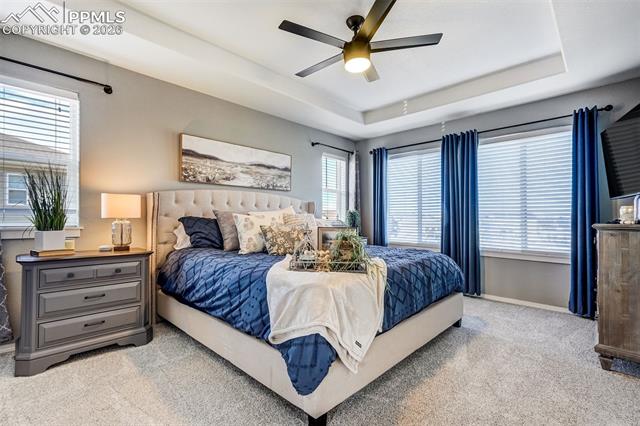 MLS Image for 7248  Jagged Rock  ,Colorado Springs, Colorado