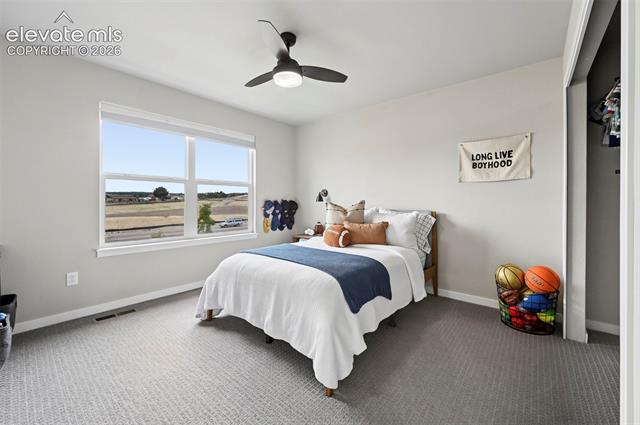 MLS Image for 8182  Wheatland  ,Colorado Springs, Colorado