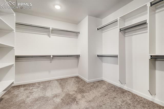MLS Image for 8702  Long Beach  ,Colorado Springs, Colorado