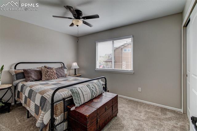 MLS Image for 4613  Whirling Oak  ,Colorado Springs, Colorado
