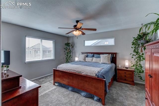 MLS Image for 4613  Whirling Oak  ,Colorado Springs, Colorado