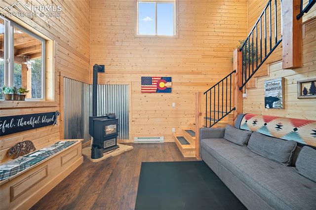 MLS Image for 213  Willow  ,Divide, Colorado