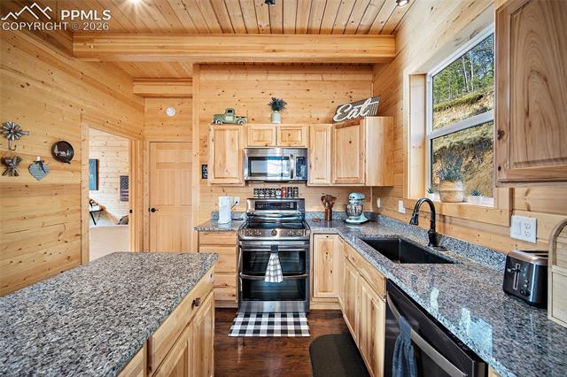 MLS Image for 213  Willow  ,Divide, Colorado