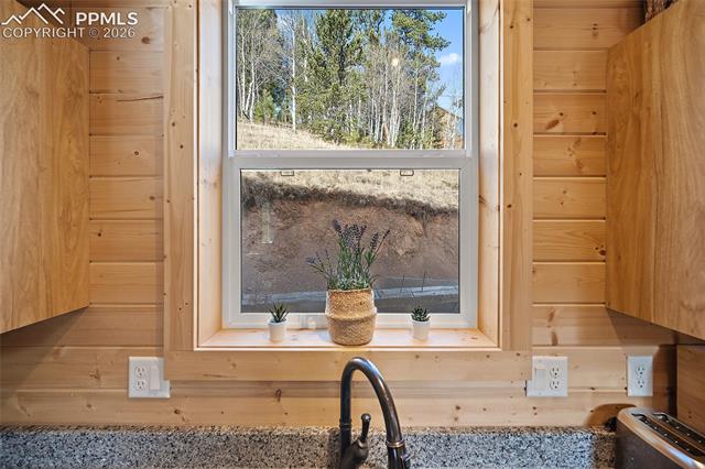 MLS Image for 213  Willow  ,Divide, Colorado