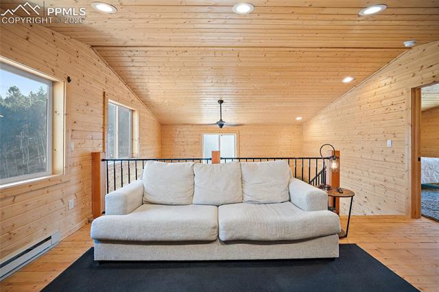 MLS Image for 213  Willow  ,Divide, Colorado