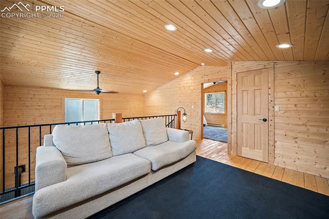 MLS Image for 213  Willow  ,Divide, Colorado