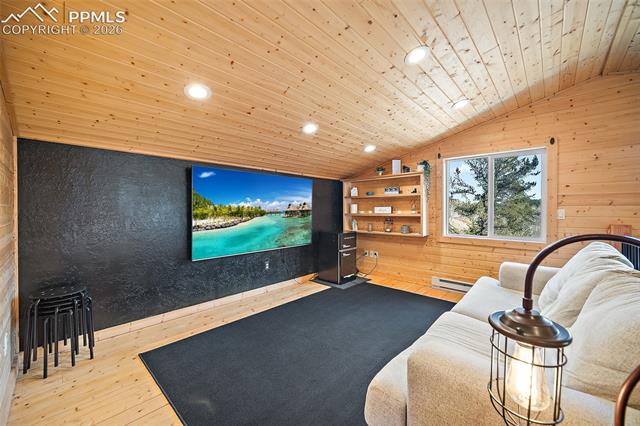 MLS Image for 213  Willow  ,Divide, Colorado