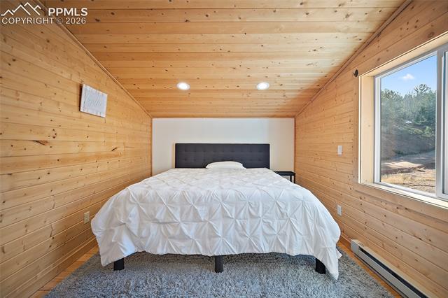 MLS Image for 213  Willow  ,Divide, Colorado