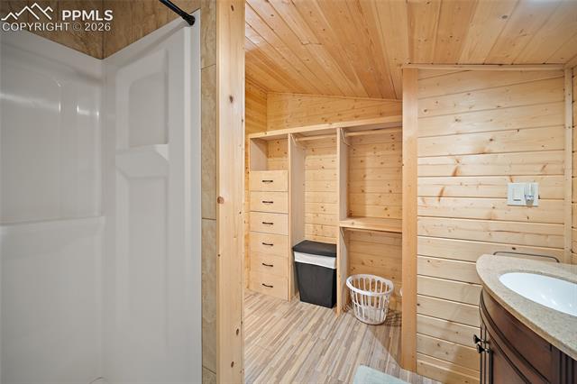 MLS Image for 213  Willow  ,Divide, Colorado