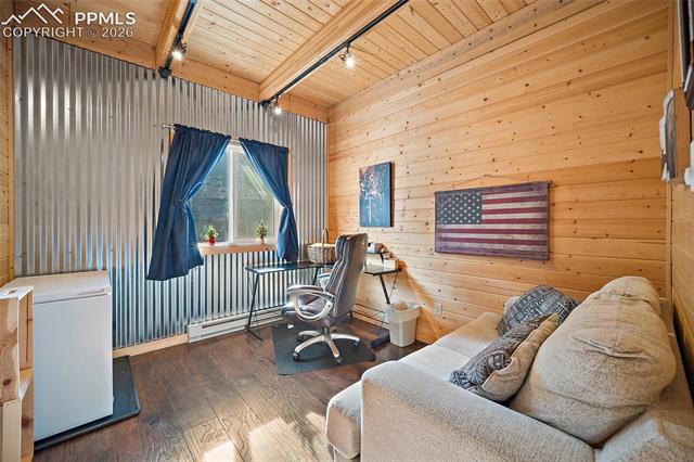 MLS Image for 213  Willow  ,Divide, Colorado
