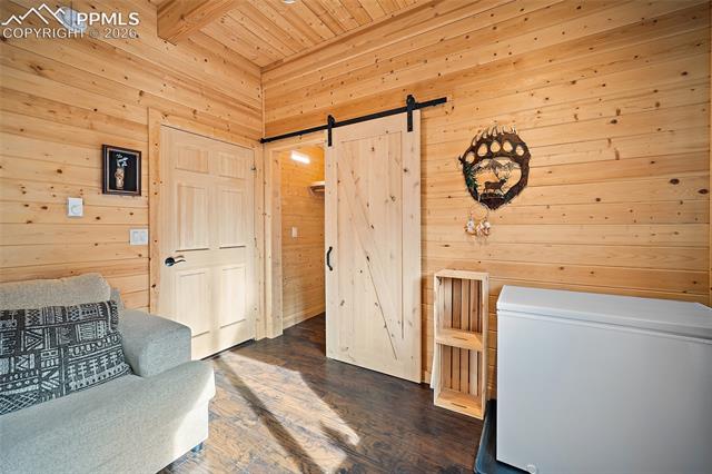 MLS Image for 213  Willow  ,Divide, Colorado