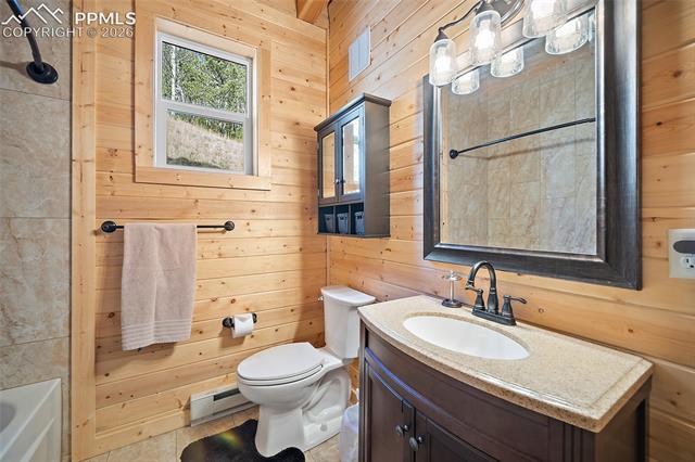 MLS Image for 213  Willow  ,Divide, Colorado