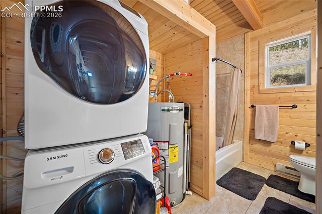 MLS Image for 213  Willow  ,Divide, Colorado