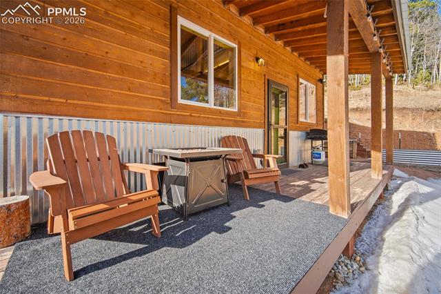 MLS Image for 213  Willow  ,Divide, Colorado