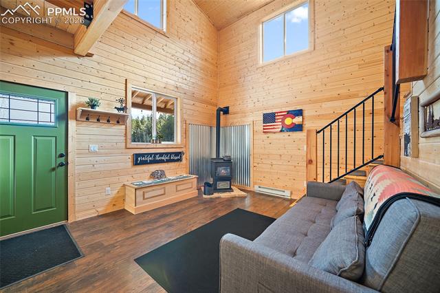 MLS Image for 213  Willow  ,Divide, Colorado
