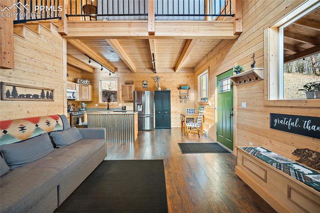 MLS Image for 213  Willow  ,Divide, Colorado
