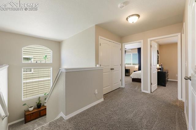 MLS Image for 9385  Sand Myrtle  ,Colorado Springs, Colorado