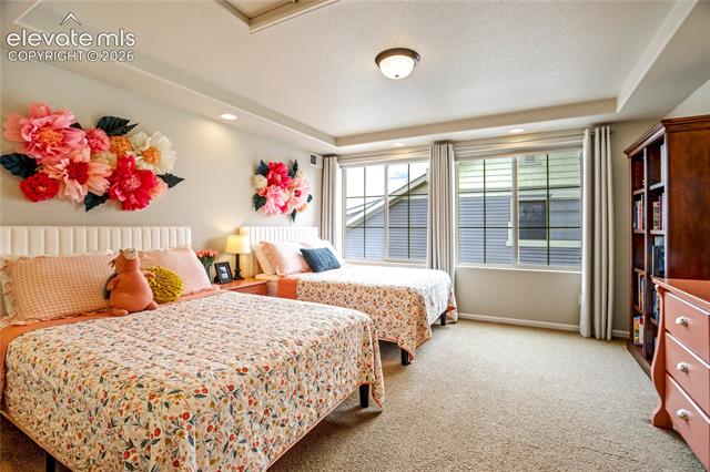 MLS Image for 7523  Mountain Spruce  ,Colorado Springs, Colorado