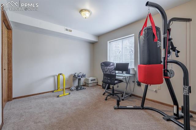 MLS Image for 37  Silbani  ,Florissant, Colorado