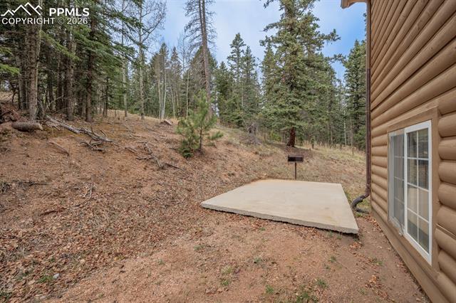 MLS Image for 37  Silbani  ,Florissant, Colorado