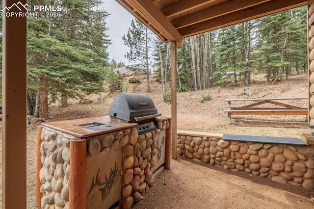 MLS Image for 37  Silbani  ,Florissant, Colorado