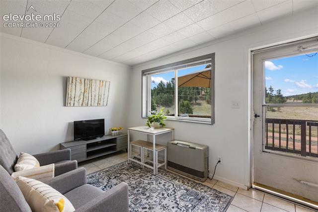 MLS Image for 301  Circle  ,Florissant, Colorado