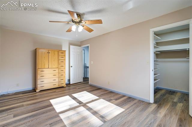 MLS Image for 2955  Reuben  ,Colorado Springs, Colorado
