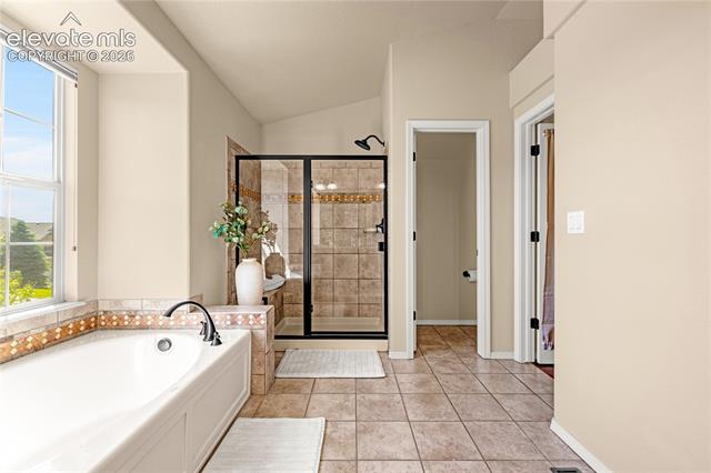 MLS Image for 13896  Windy Oaks  ,Colorado Springs, Colorado