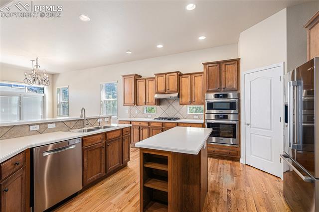 MLS Image for 658  Burke Hollow  ,Monument, Colorado