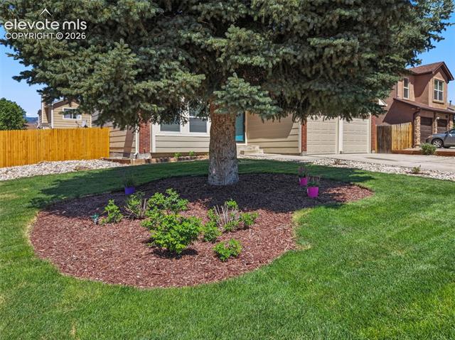 MLS Image for 420  Fleming  ,Colorado Springs, Colorado