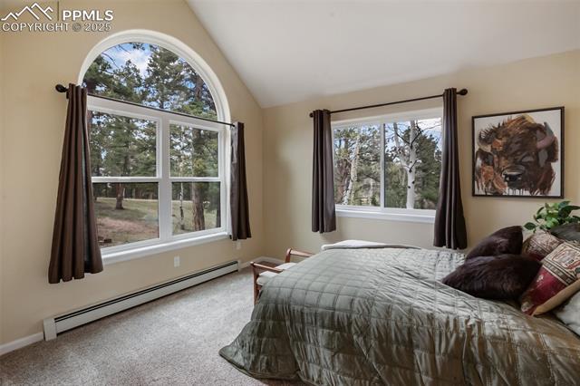 MLS Image for 2100 N Elk  ,Divide, Colorado