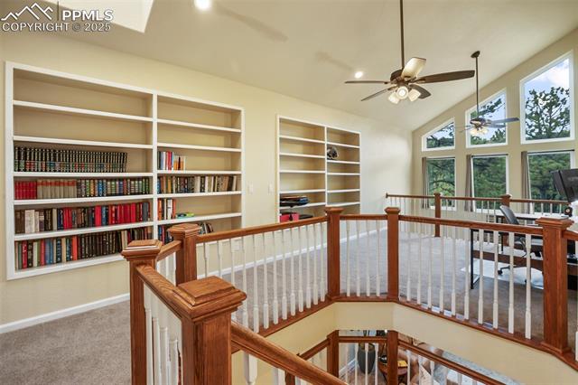 MLS Image for 2100 N Elk  ,Divide, Colorado