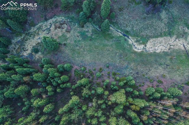 MLS Image for 2100 N Elk  ,Divide, Colorado