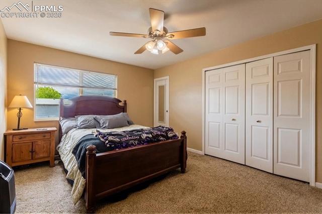 MLS Image for 1249  Marsh Hawk  ,Colorado Springs, Colorado